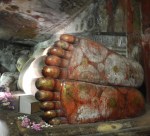 35. ....all colourfully painted