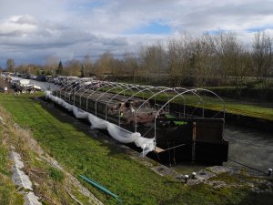 7. 14th Jan, work party on ASTER