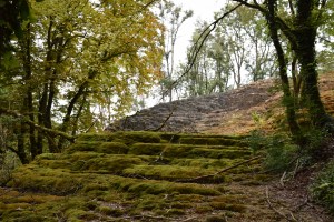 2. Lime deposits in the waterfall build a stepped terrace
