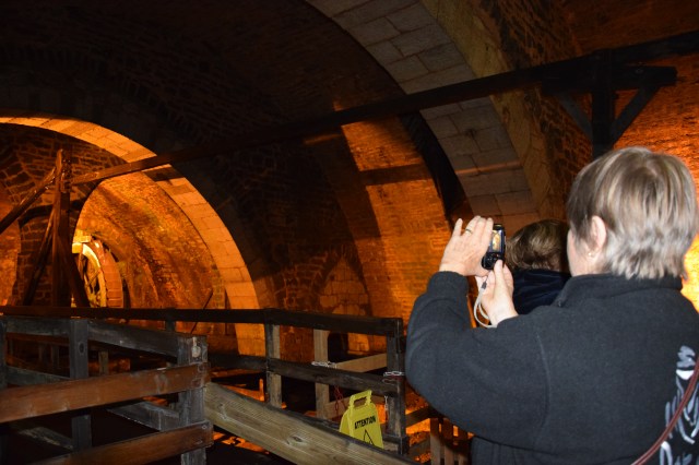 80. Dandi lining up for a shot