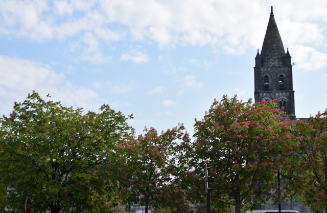 64. Chestnuts in Blossom