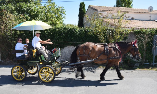 20. The Remontre de Seudre