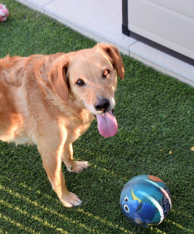 6. Don't tell me he isn't smiling